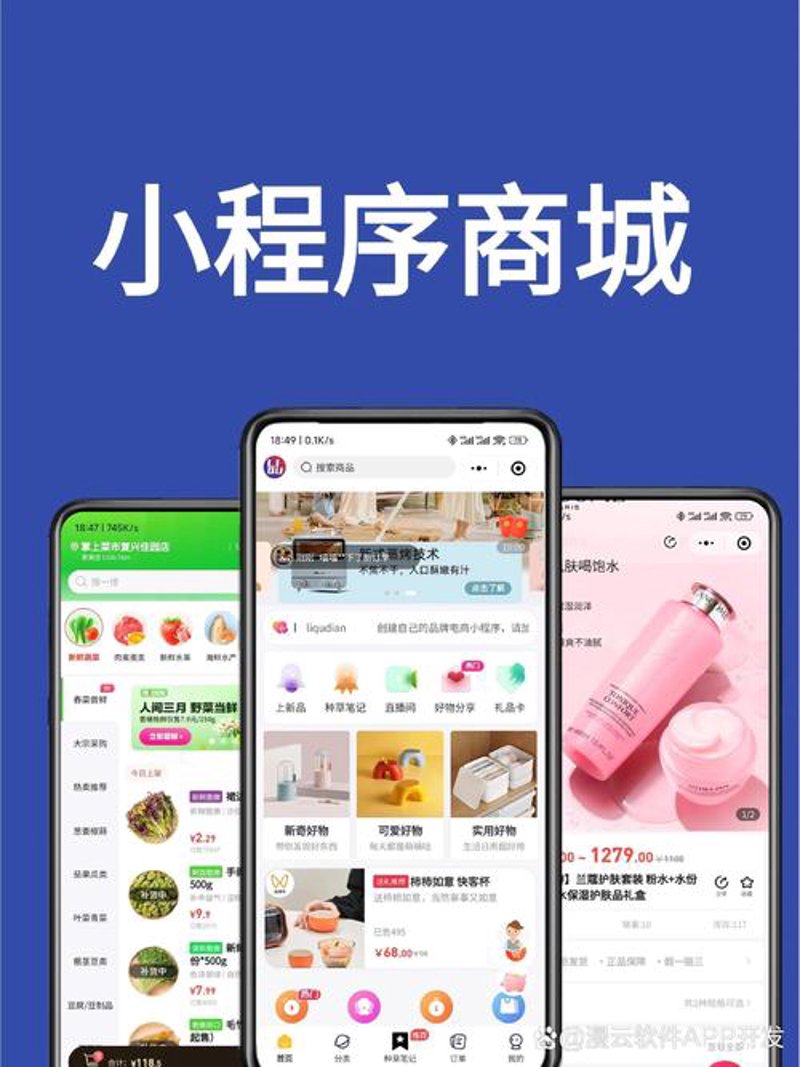 电商系统的定制选购指南