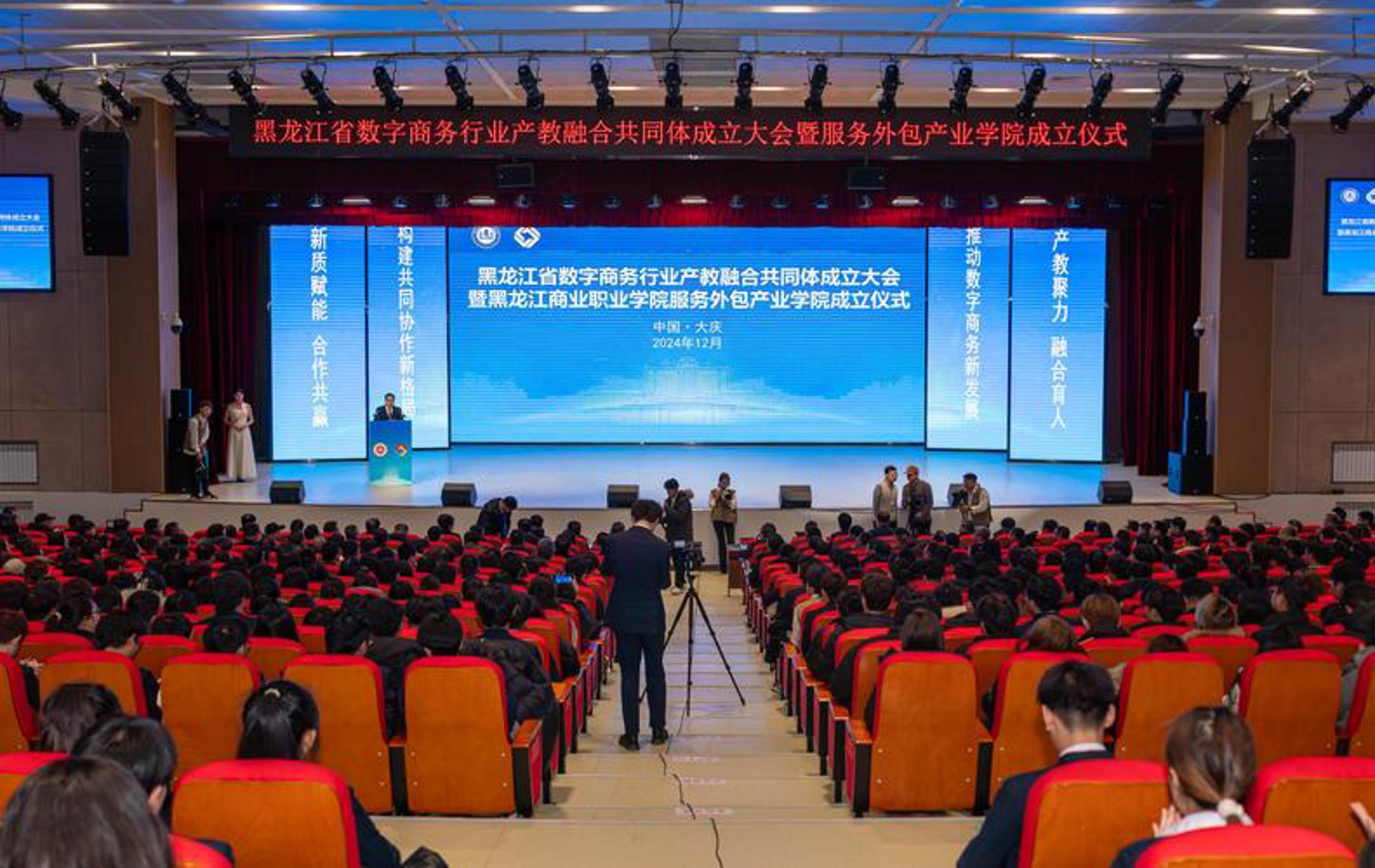 能树网络科技